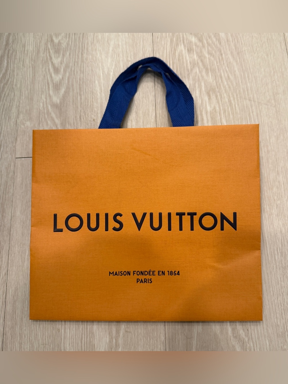 Louis Vuitton Shopping Bag